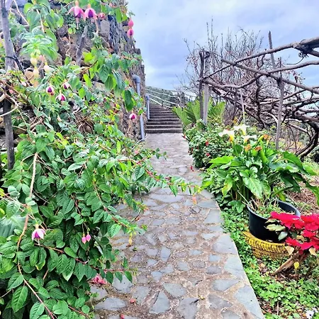 木屋 Mountain Rural House Teide Volcano By Hrtenerife Net 伊科德·德·洛斯·维诺斯