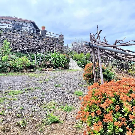 Mountain Rural House Teide Volcano By Hrtenerife Net 木屋 伊科德·德·洛斯·维诺斯